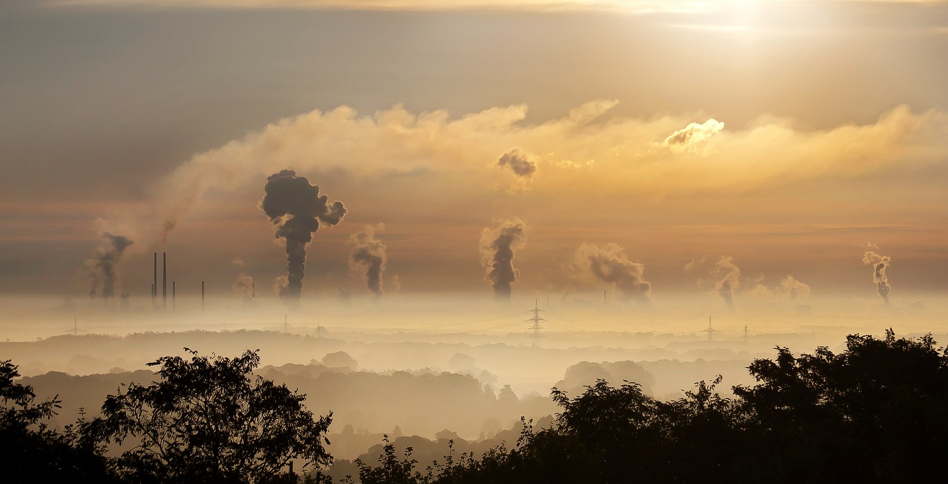 Cutting the Carbon Footprint